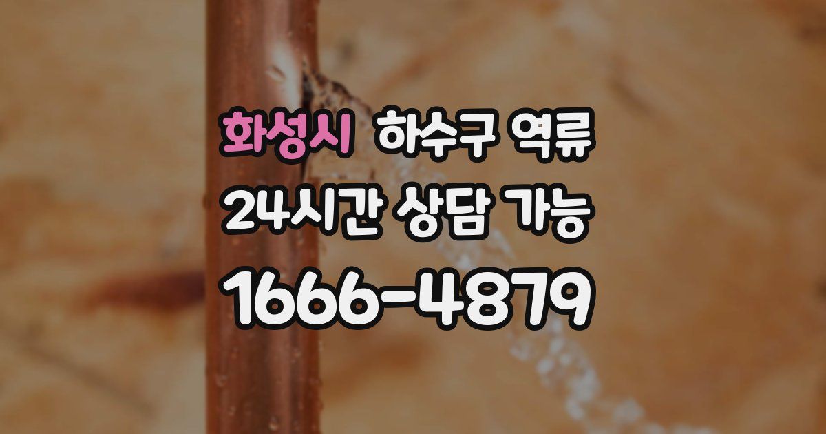 화성시 하수구 역류