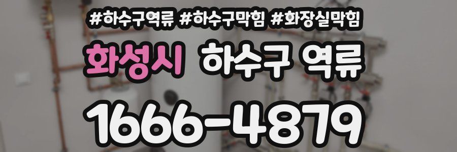 화성시 하수구 역류