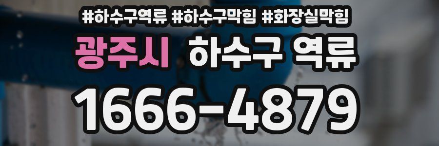 광주시 하수구 역류