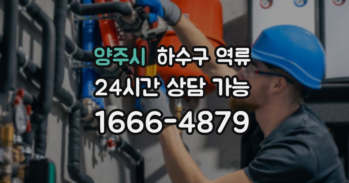 양주시 하수구 역류