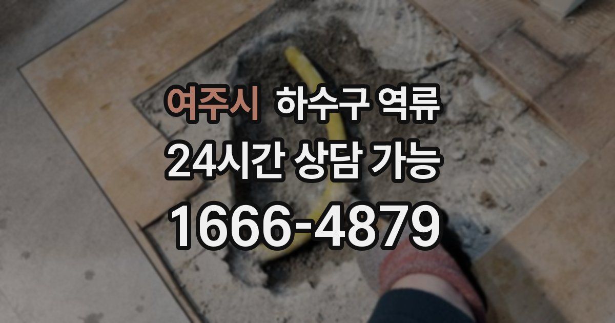 여주시 하수구 역류