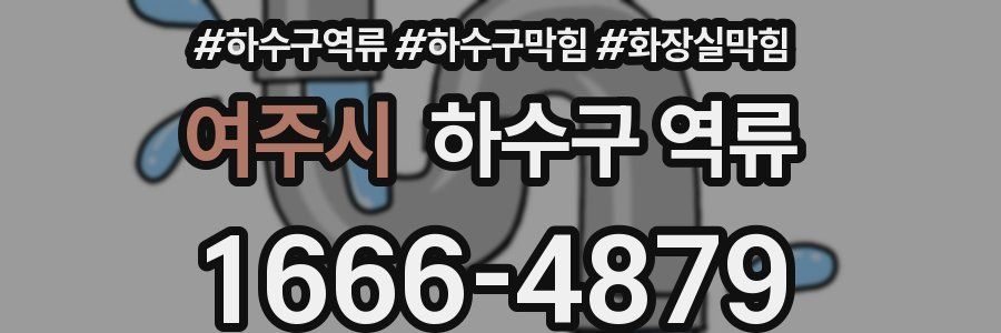 여주시 하수구 역류