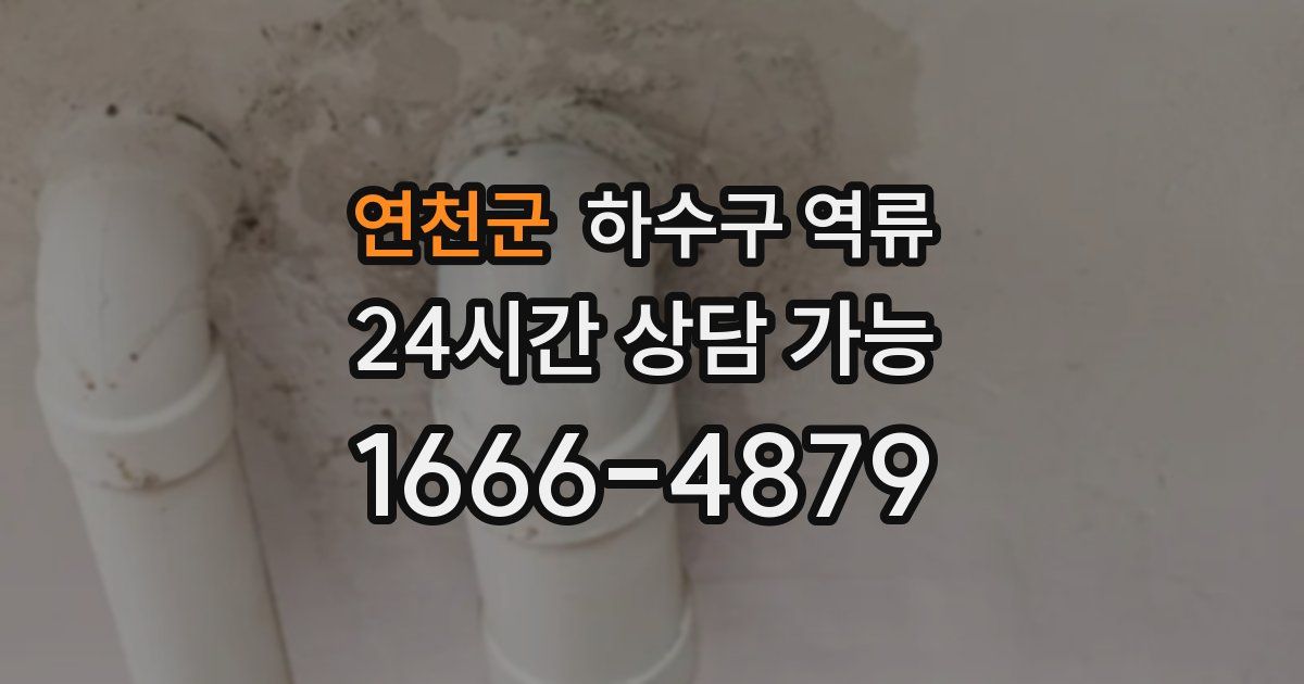 연천군 하수구 역류