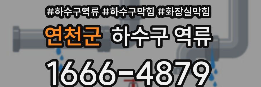 연천군 하수구 역류