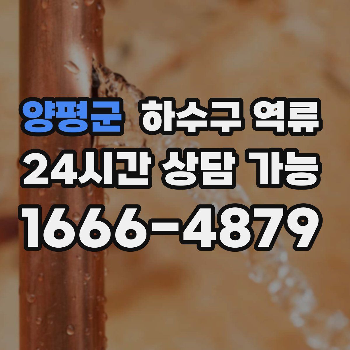 양평군 하수구 역류