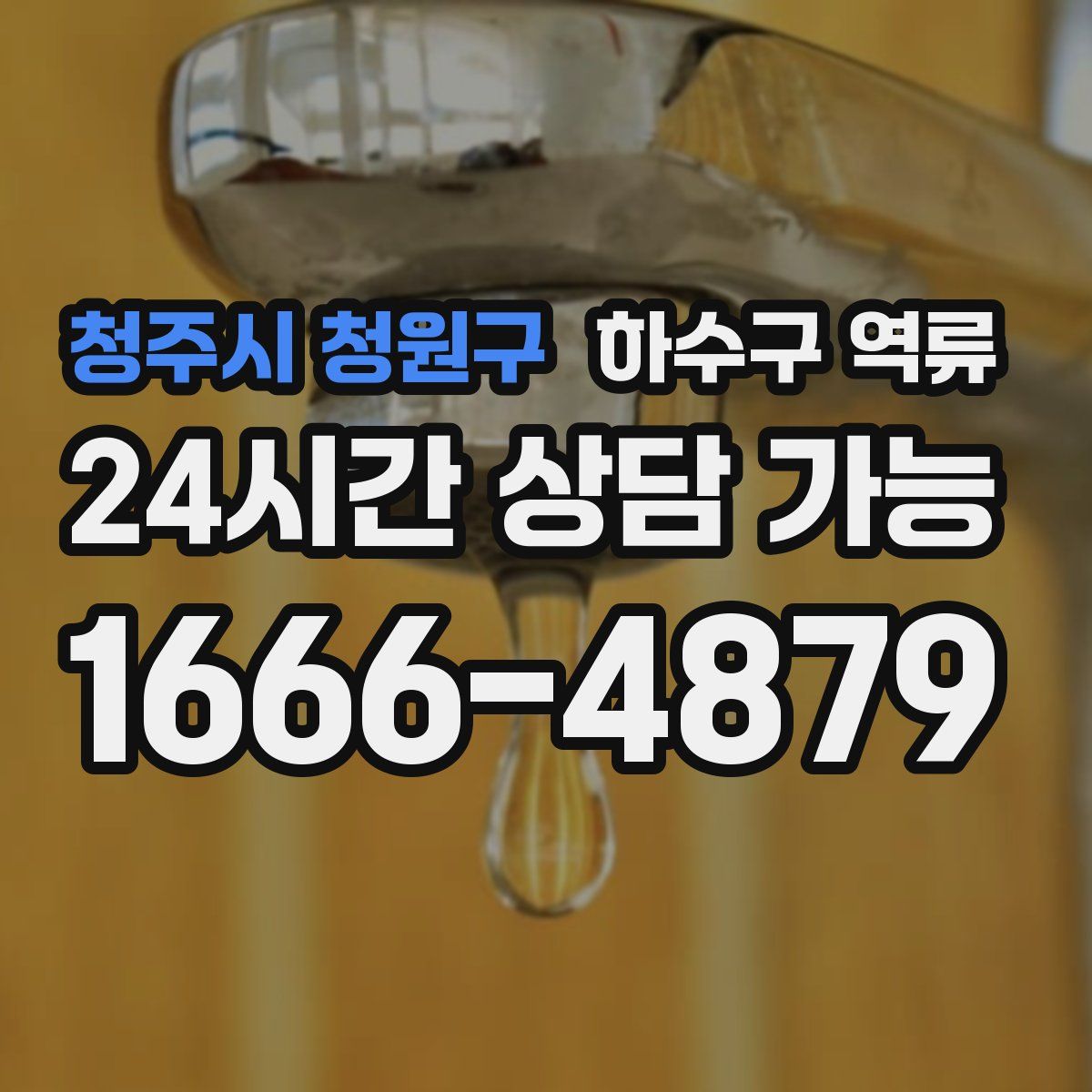 청주시 청원구 하수구 역류