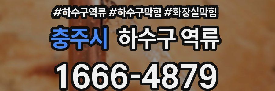 충주시 하수구 역류