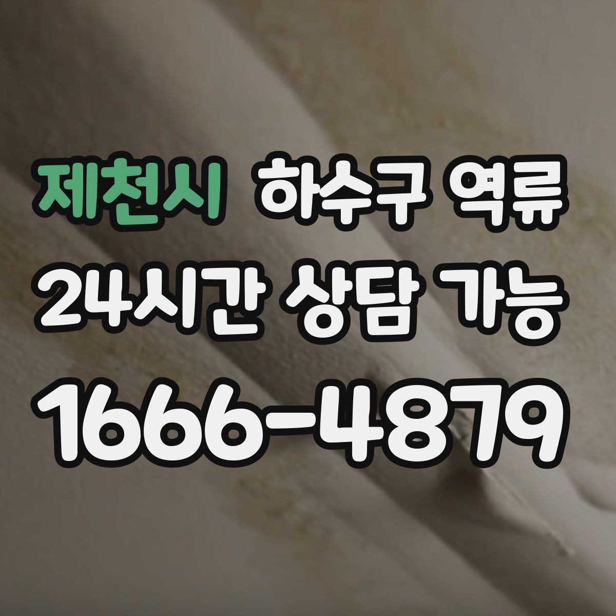 제천시 하수구 역류