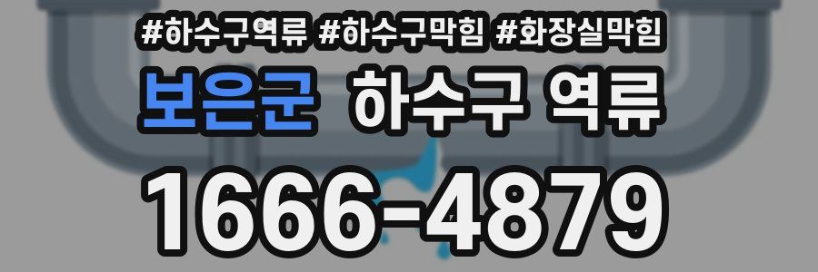 보은군 하수구 역류