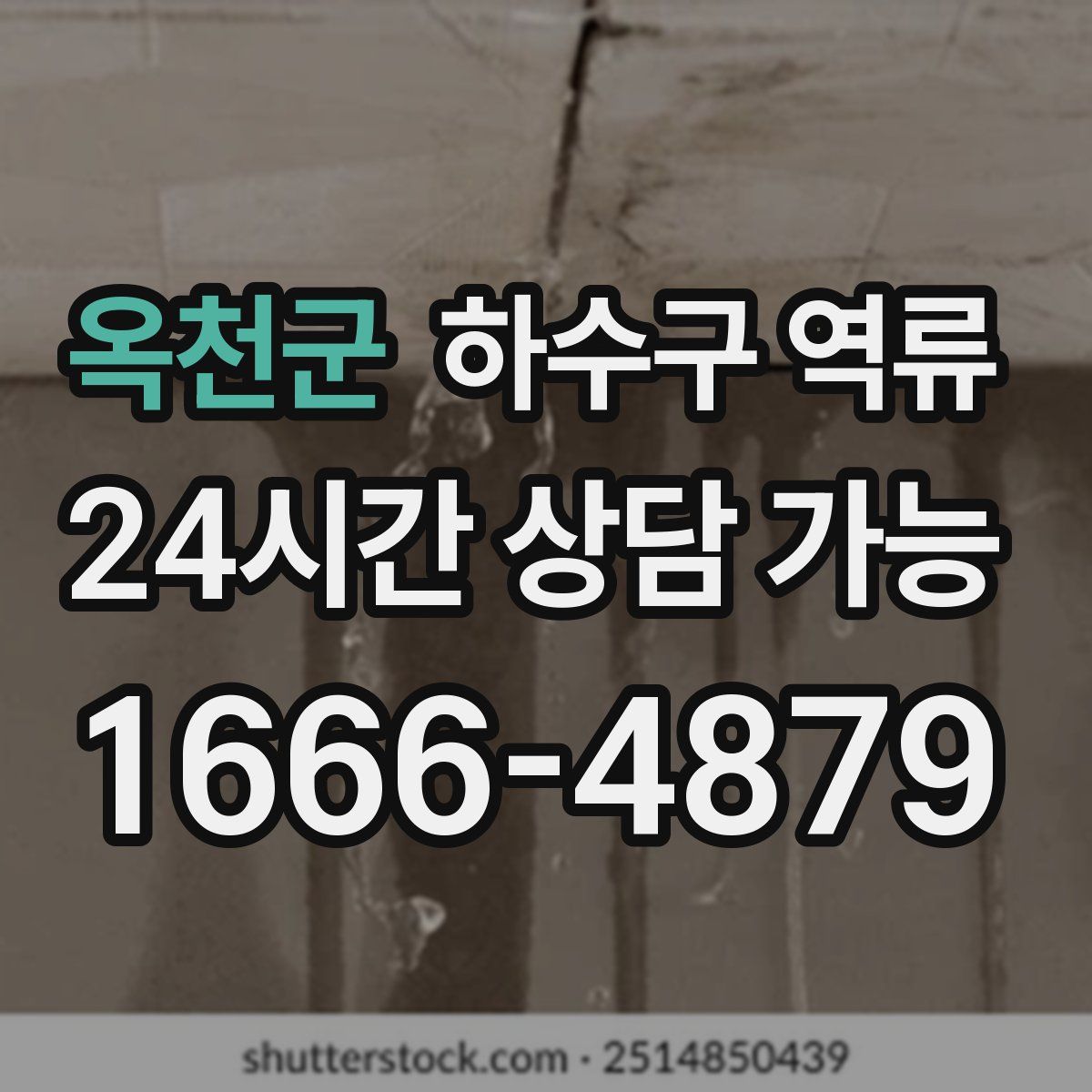 옥천군 하수구 역류