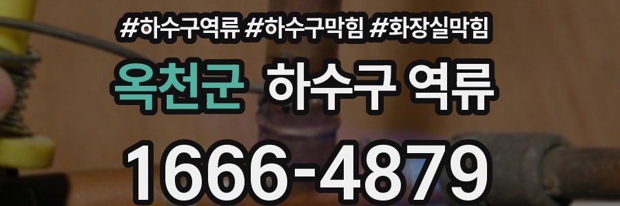 옥천군 하수구 역류