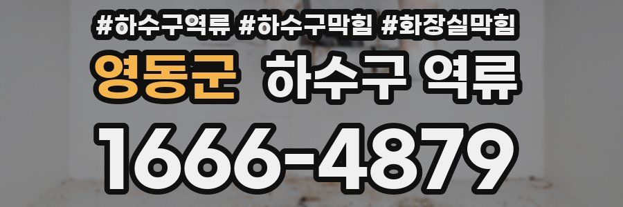 영동군 하수구 역류