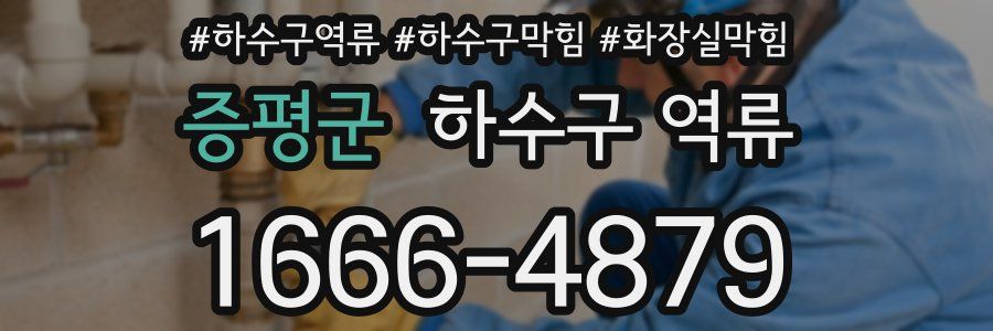 증평군 하수구 역류