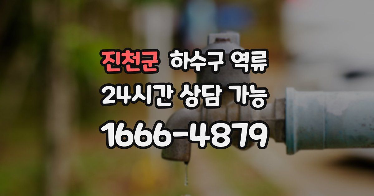 진천군 하수구 역류