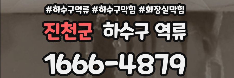 진천군 하수구 역류