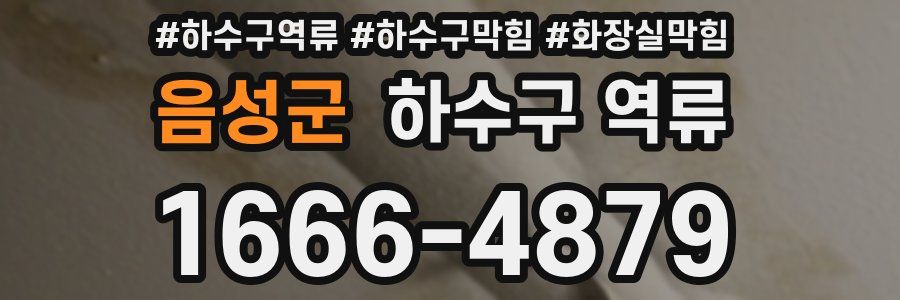 음성군 하수구 역류