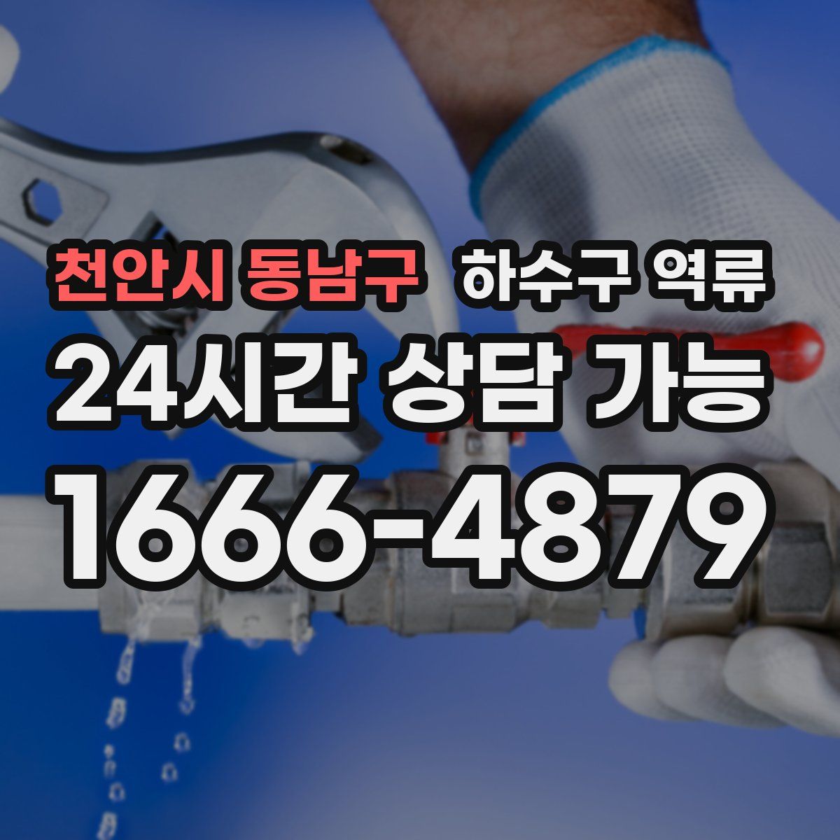 천안시 동남구 하수구 역류