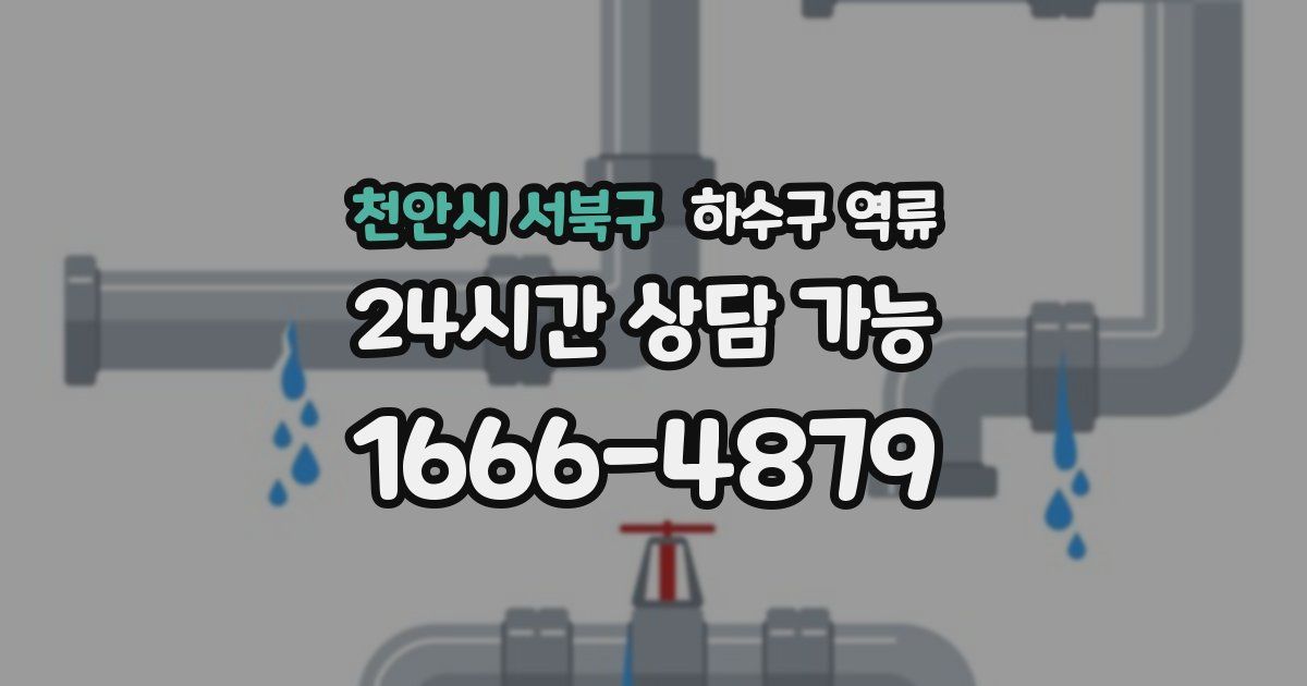 천안시 서북구 하수구 역류