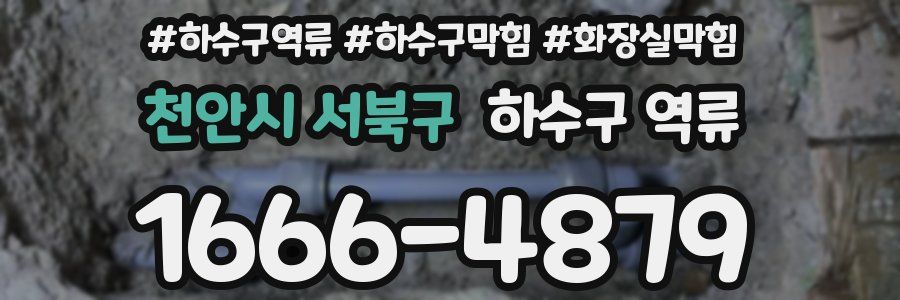 천안시 서북구 하수구 역류