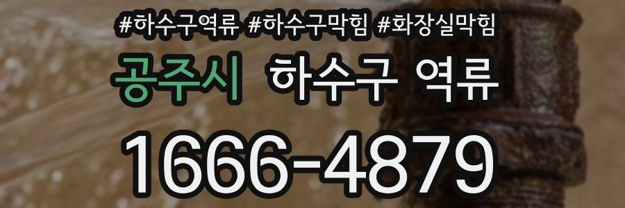 공주시 하수구 역류