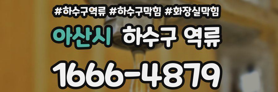 아산시 하수구 역류