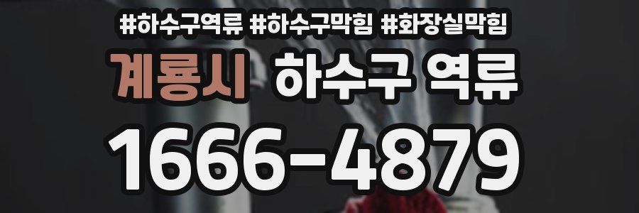 계룡시 하수구 역류