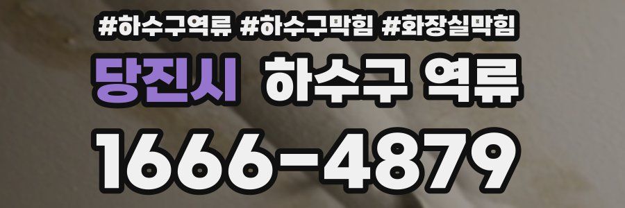 당진시 하수구 역류