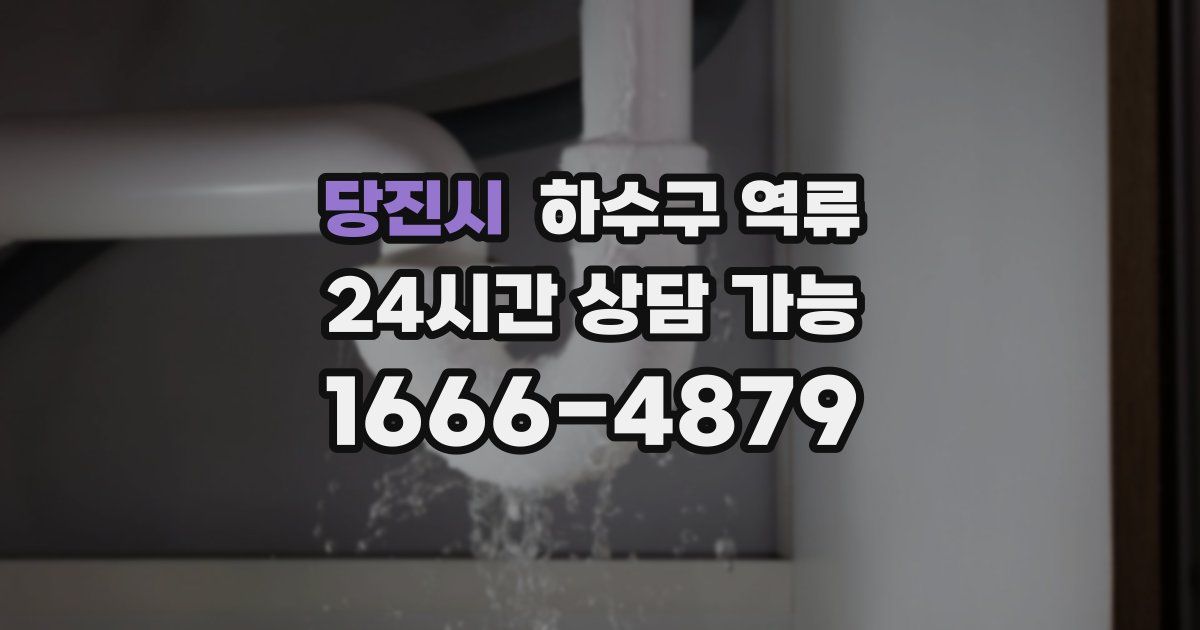 당진시 하수구 역류