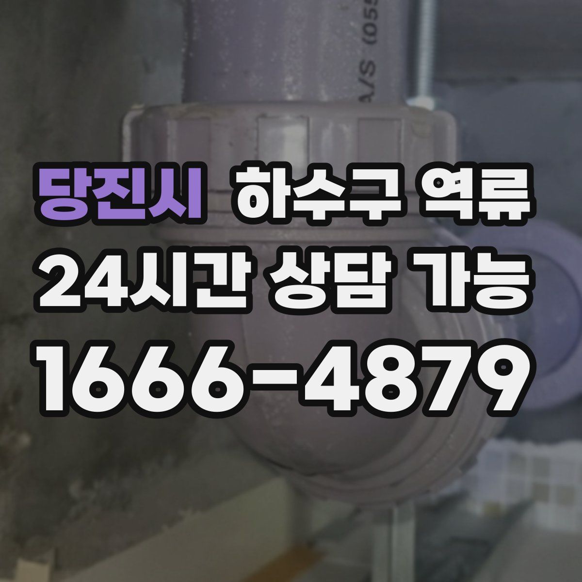 당진시 하수구 역류