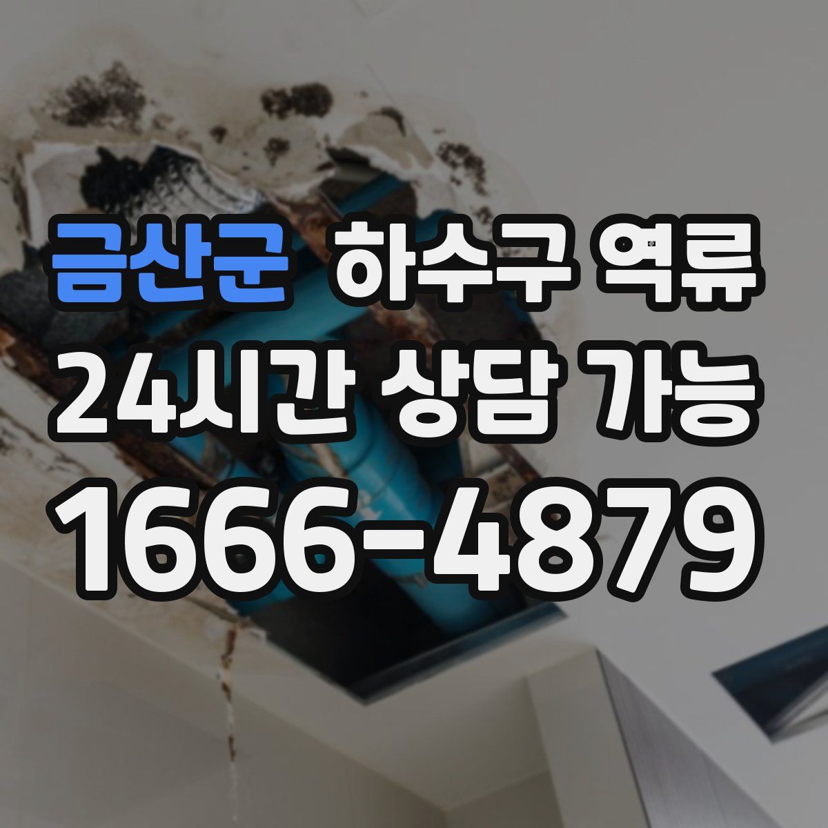 금산군 하수구 역류