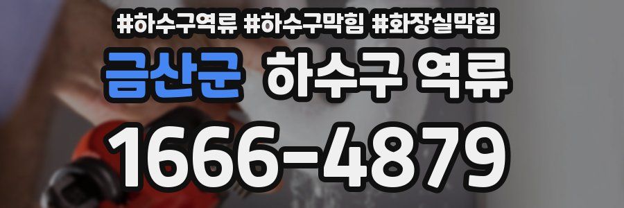 금산군 하수구 역류