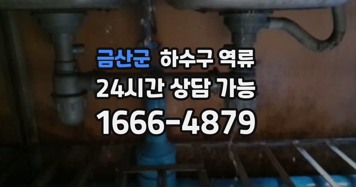 금산군 하수구 역류