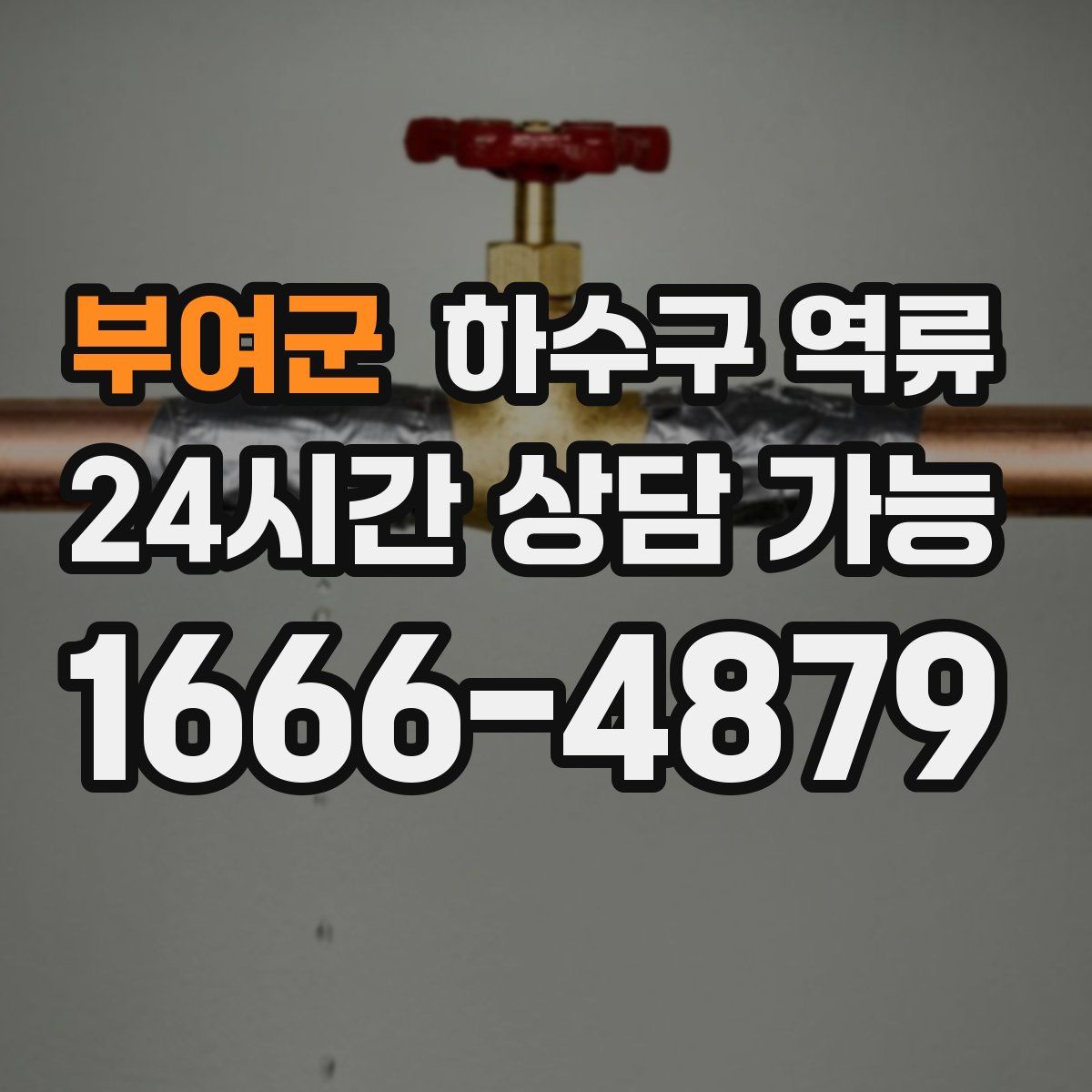 부여군 하수구 역류