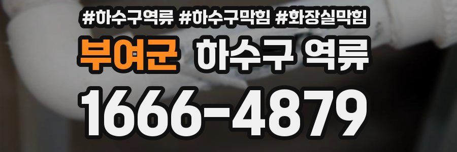 부여군 하수구 역류