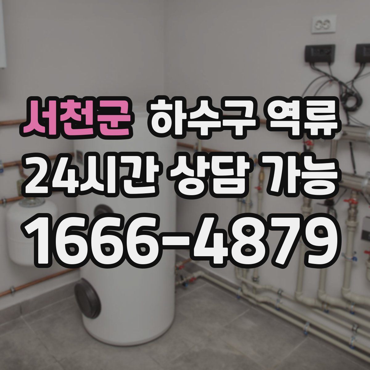 서천군 하수구 역류