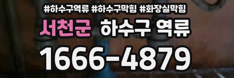 서천군 하수구 역류