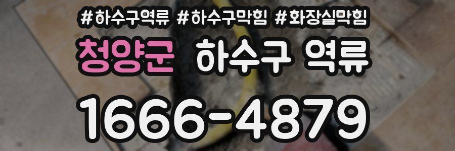청양군 하수구 역류