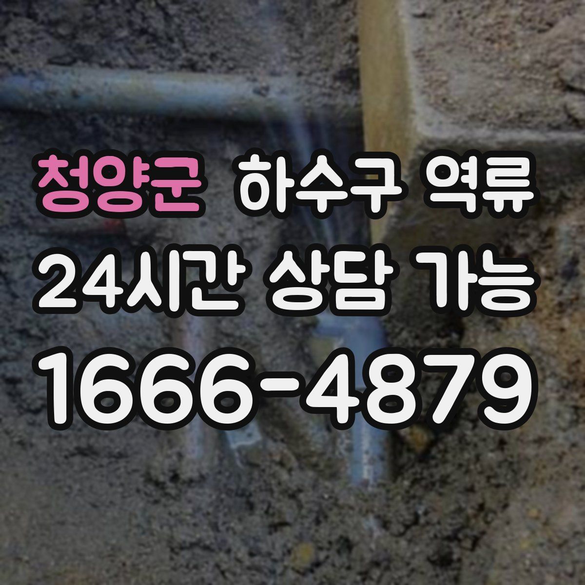 청양군 하수구 역류