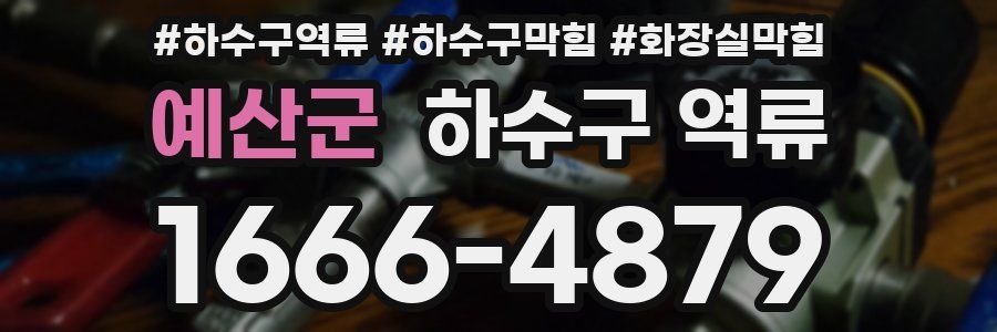 예산군 하수구 역류