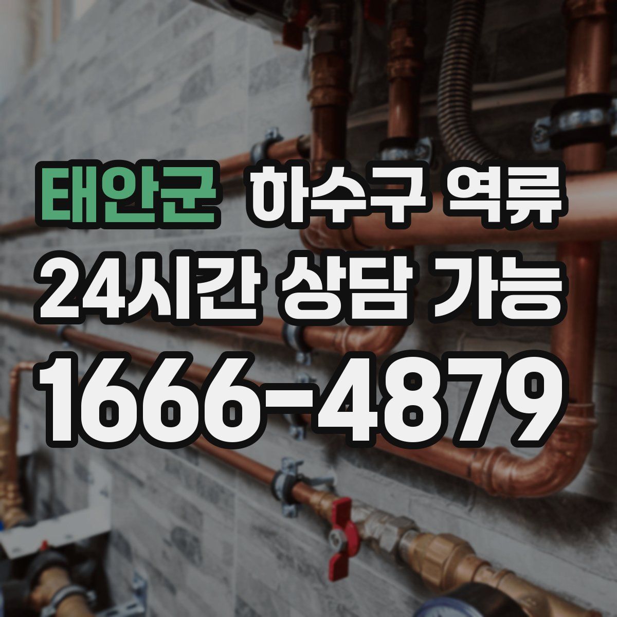 태안군 하수구 역류