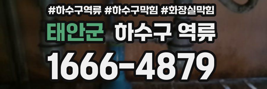 태안군 하수구 역류