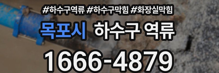 목포시 하수구 역류