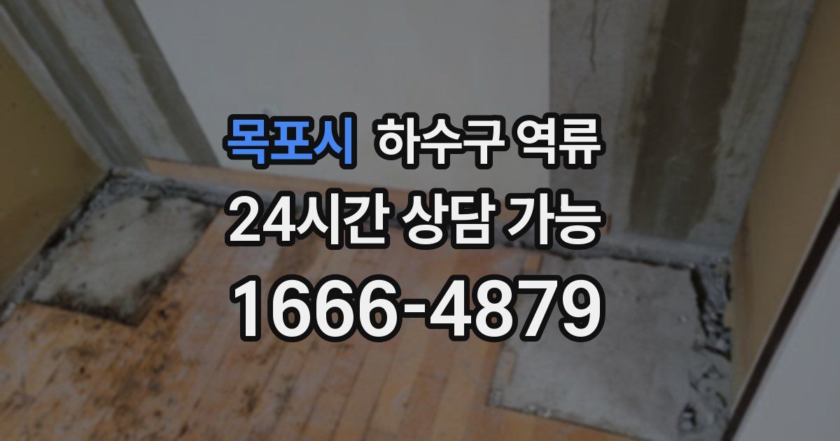 목포시 하수구 역류