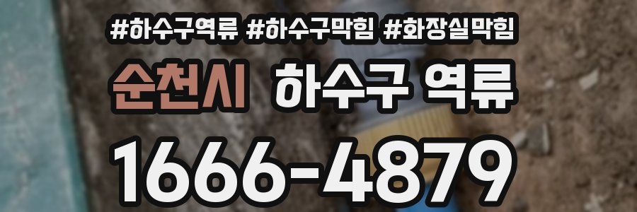 순천시 하수구 역류