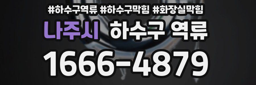 나주시 하수구 역류