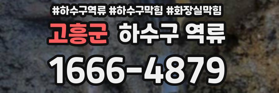 고흥군 하수구 역류