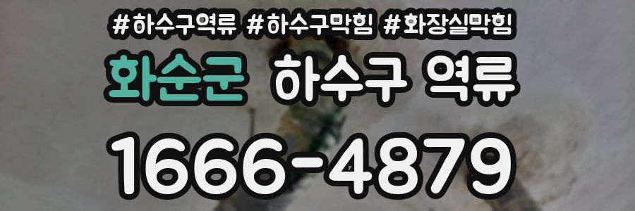 화순군 하수구 역류