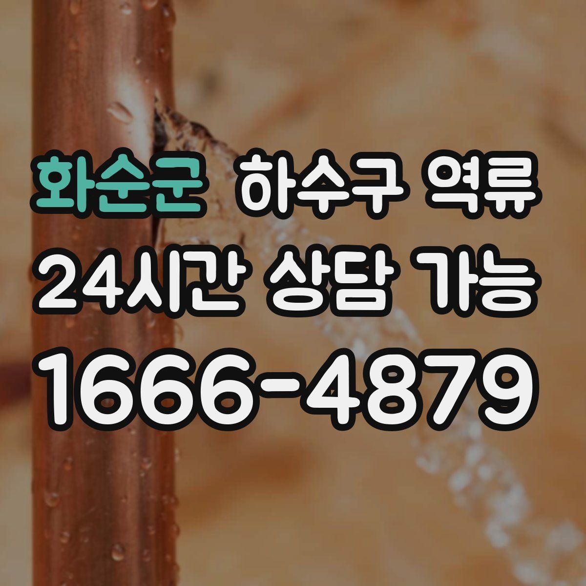 화순군 하수구 역류