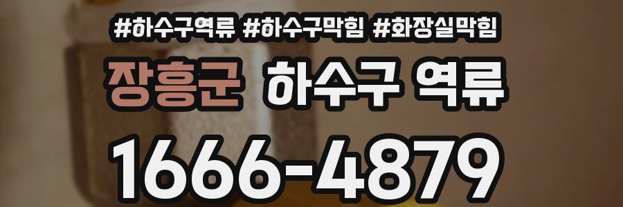 장흥군 하수구 역류