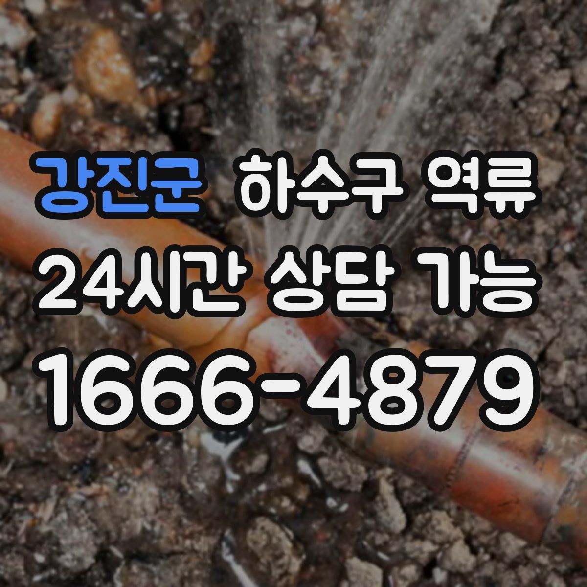 강진군 하수구 역류